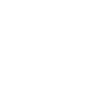 Google Plus icon