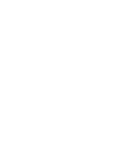 LinkedIn icon